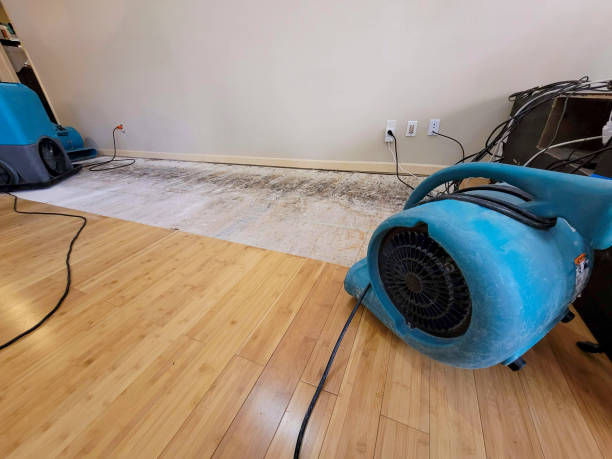 Reliable Basement Flood Cleanup contractor in Allen Park, MI by Hirex Water Damage