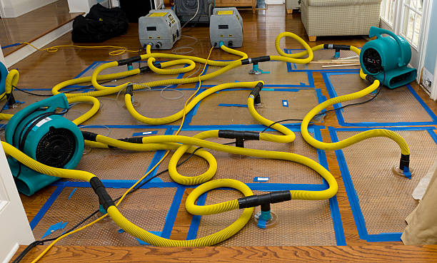Professional Basement Flood Cleanup technician working in Allen Park, MI